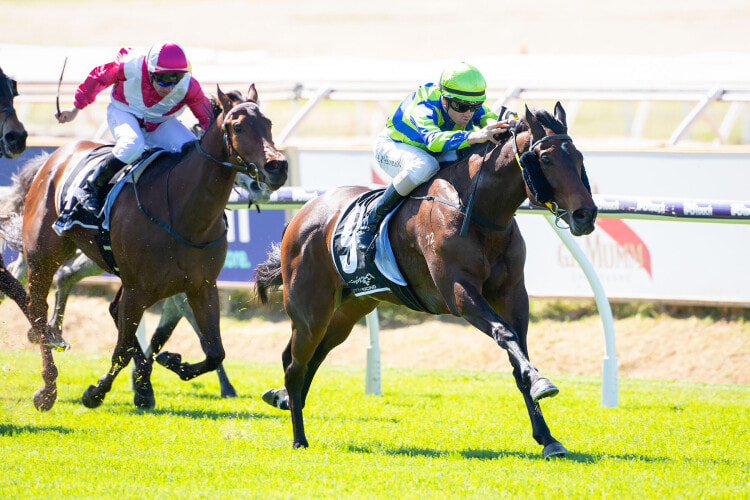 Bustler Victorious in WFA Feature