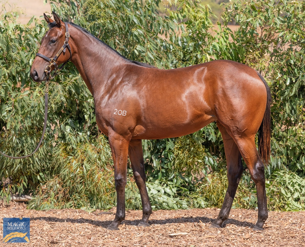 Earthstorm Fights to 2nd in the Karrakatta
