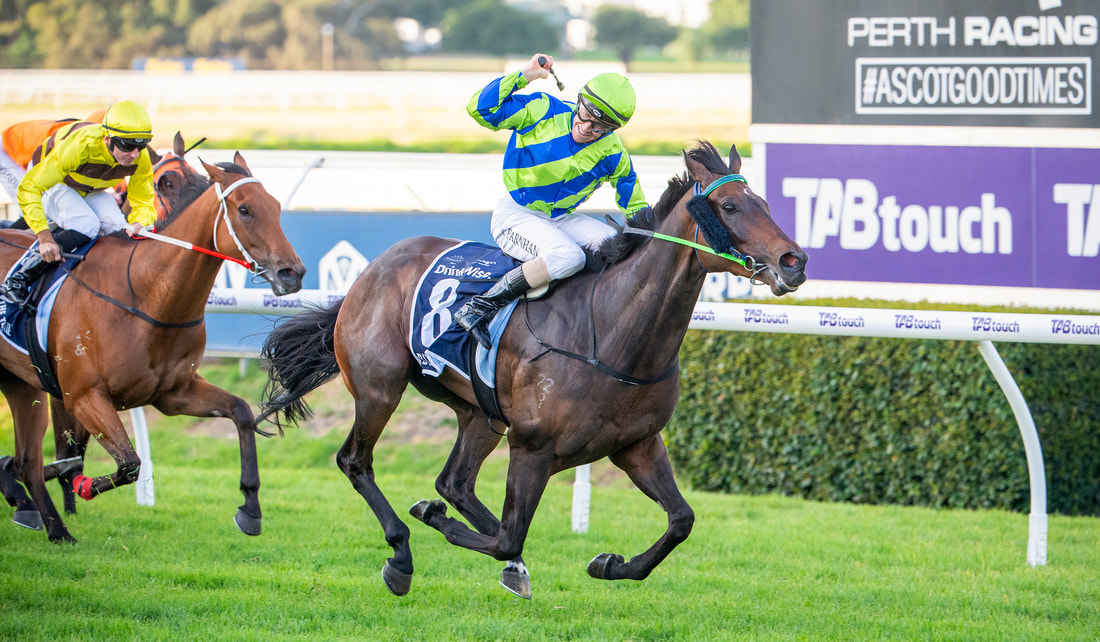 Bustler winning at Ascot