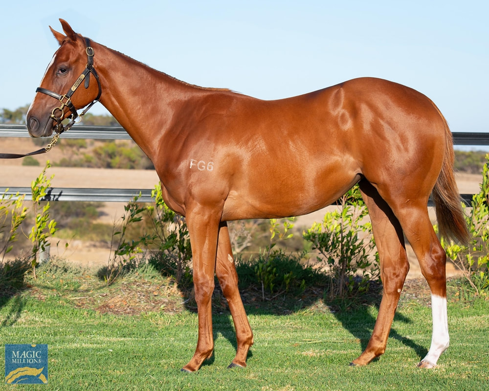 Loves Talking — Stakes Placing