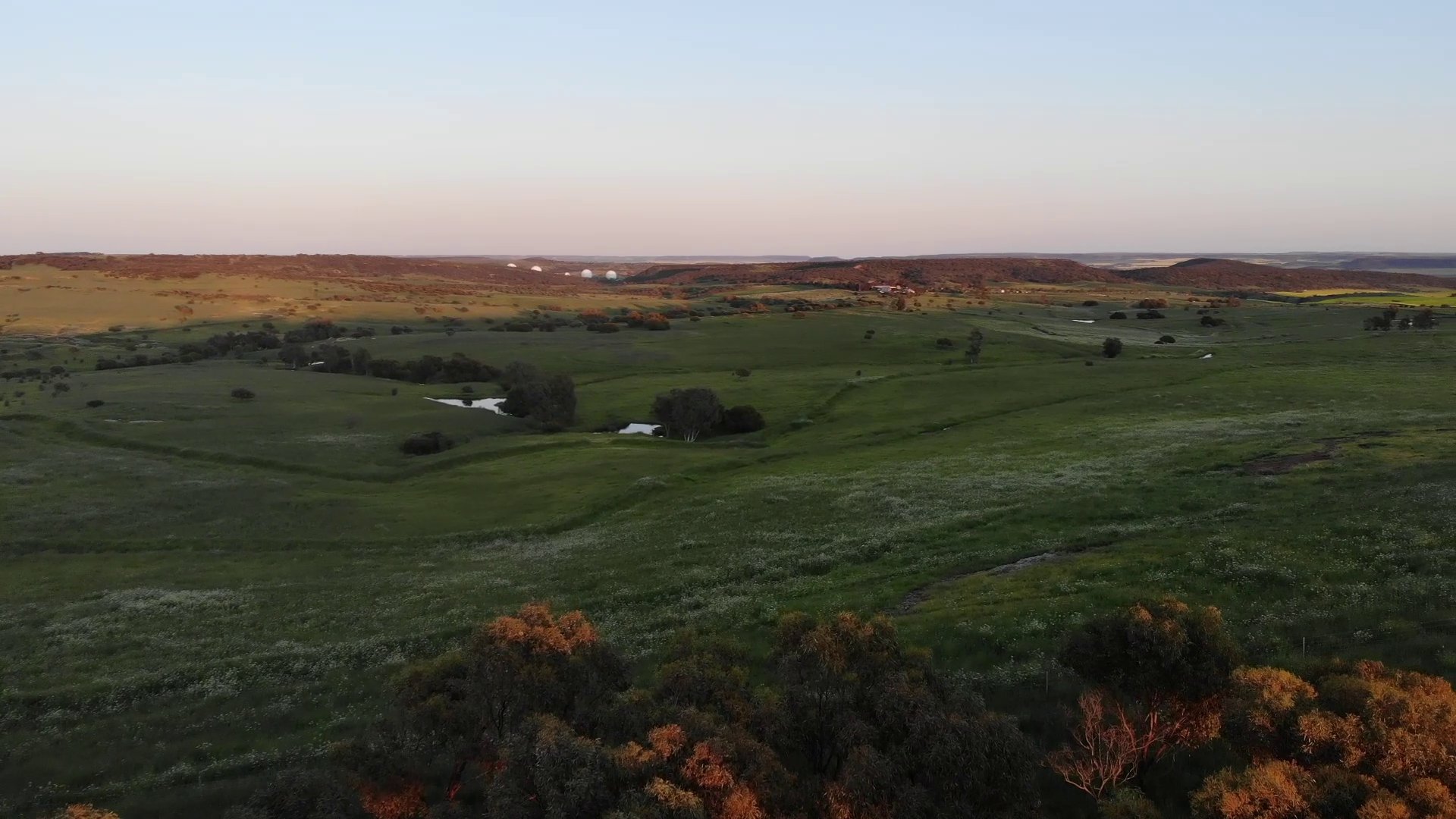 Yanget Farm at golden hour — undulating paddocks, hills and homestead in the distance