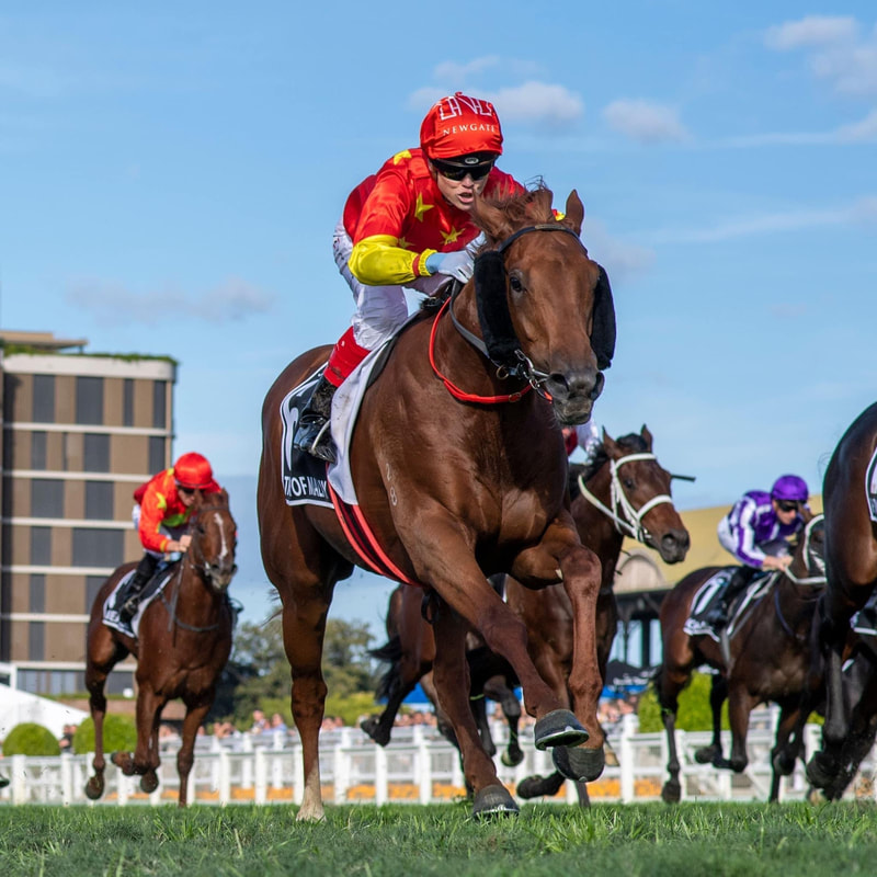 Yanget Farm services