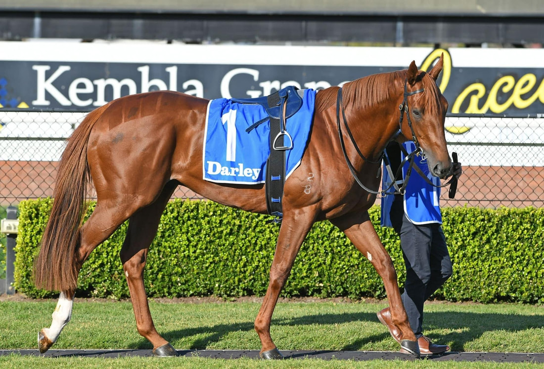 Yanget Farm veterinary barn