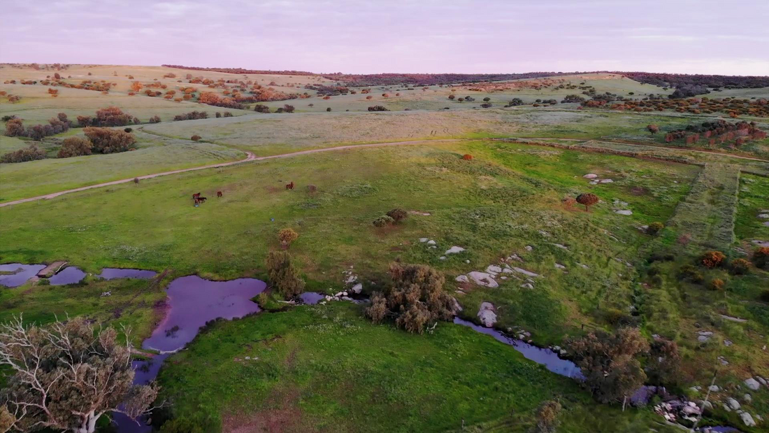 Yanget Farm — aerial view